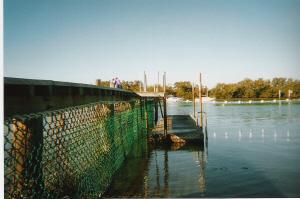 Tidal Baths Netting
