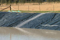 Pond exit nets