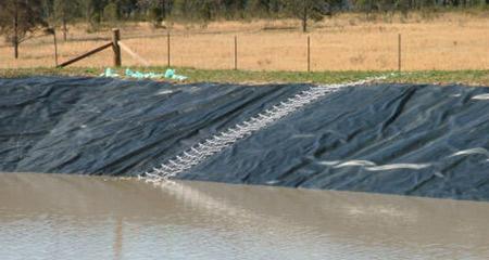Pond Ladder Netting