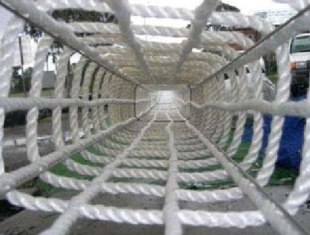 Box Corssing Nets for Wildlife